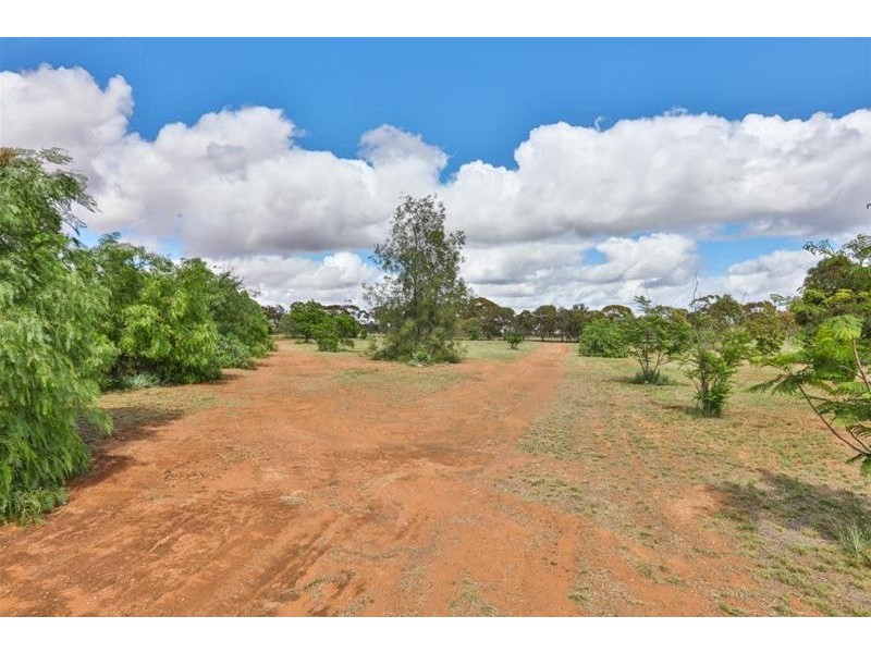 15 Hillview Road, Merbein West VIC 3505