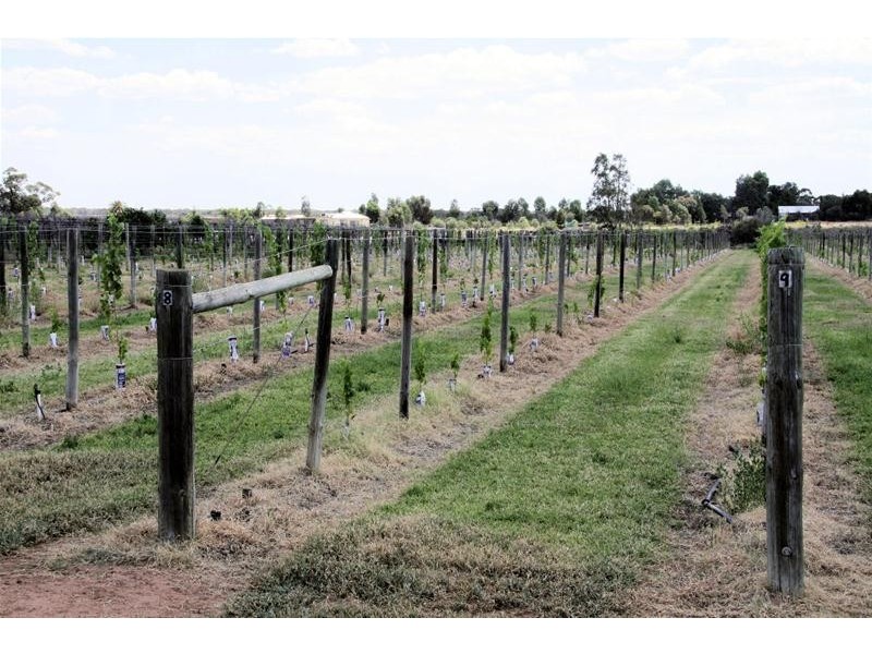 57 First Street, Merbein VIC 3505