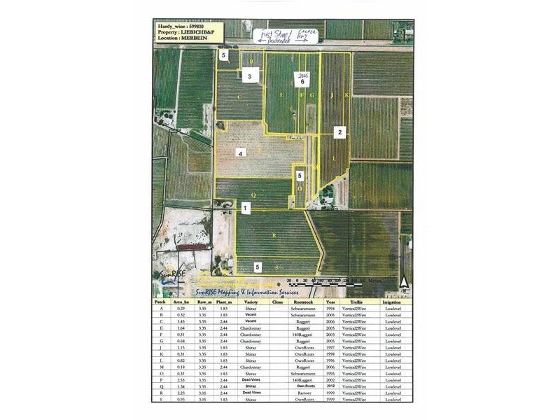 57 First Street, Merbein VIC 3505