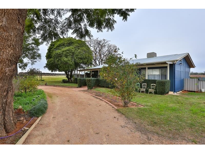 120 Combunyee Road, Dareton NSW 2717