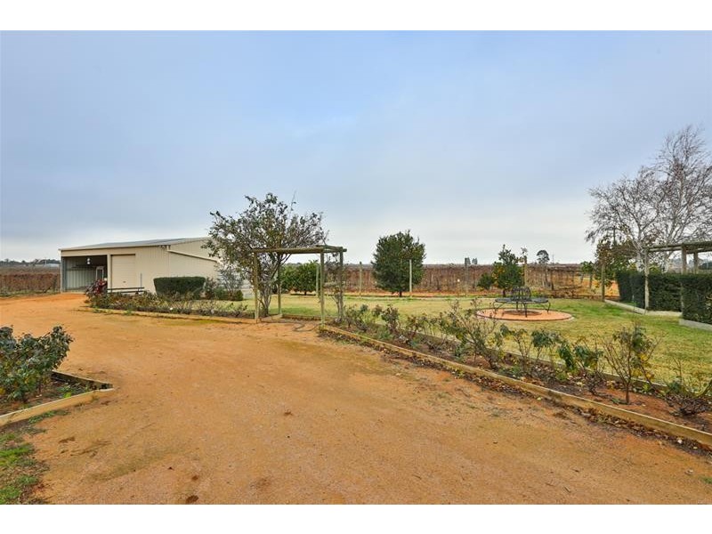 120 Combunyee Road, Dareton NSW 2717