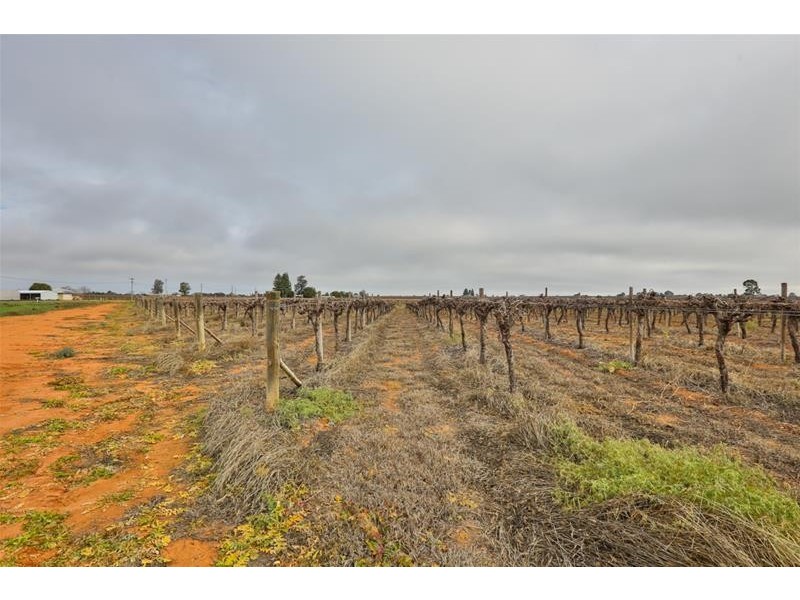 120 Combunyee Road, Dareton NSW 2717