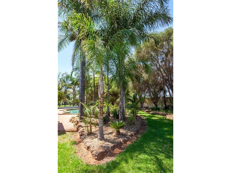 105 Pawson Avenue, Sunnycliffs VIC 3496