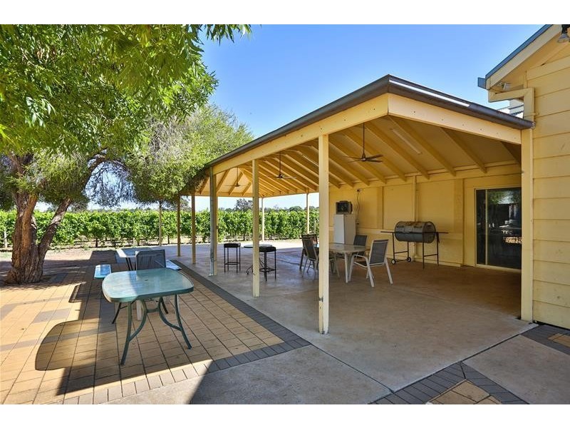 105 McSwains Road, Birdwoodton VIC 3505