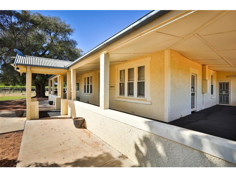 105 McSwains Road, Birdwoodton VIC 3505