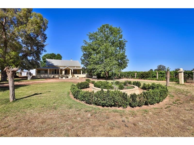 105 McSwains Road, Birdwoodton VIC 3505