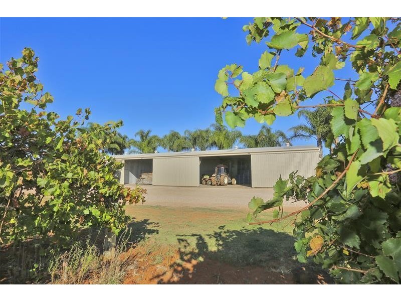 141 Paschendale Avenue, Yelta VIC 3505