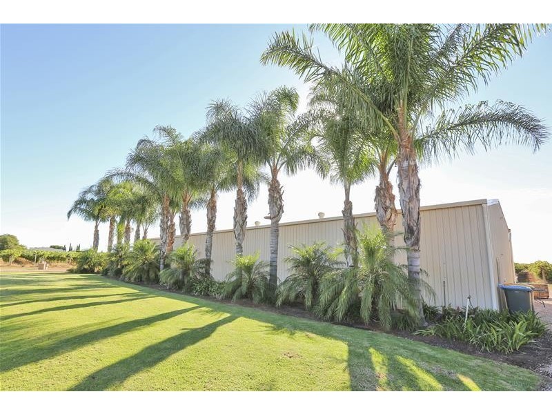 141 Paschendale Avenue, Yelta VIC 3505