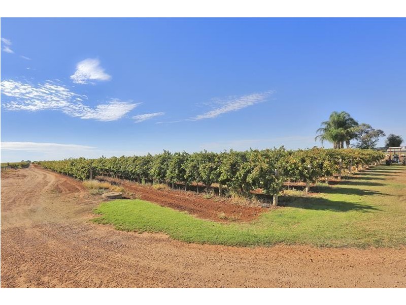 141 Paschendale Avenue, Yelta VIC 3505