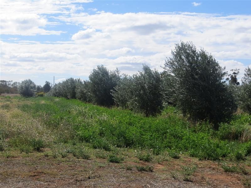 Lot/2 Chislets Road, Red Cliffs VIC 3496