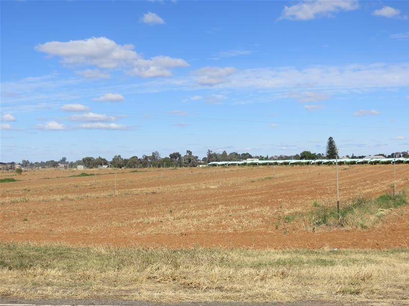 Lot/2 Chislets Road, Red Cliffs VIC 3496