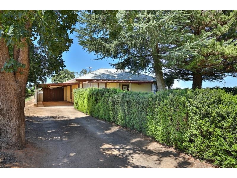 373 Morpung Avenue, Irymple VIC 3498