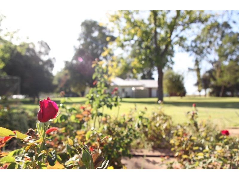 Old Mail Road, Wargan VIC 3505