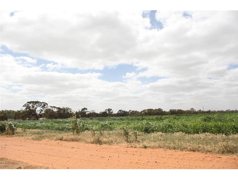 Old Mail Road, Wargan VIC 3505