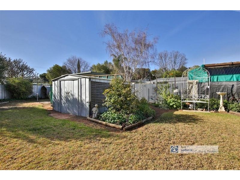 37 Fitzroy Avenue, Red Cliffs VIC 3496