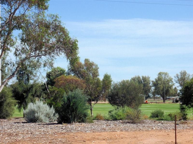 47 Fitzroy Avenue, Red Cliffs VIC 3496