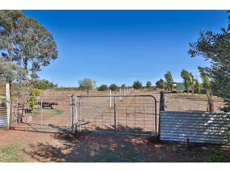 3152 Fourteenth Street, Irymple VIC 3498