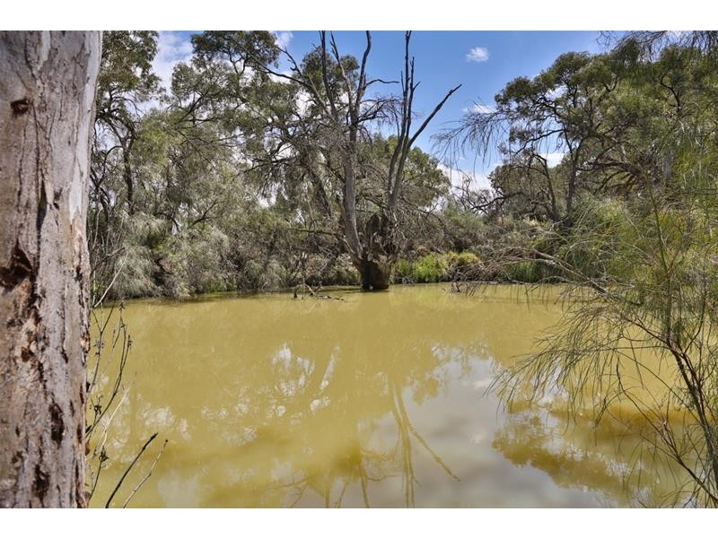 25 Adelaide Street, Gol Gol NSW 2738