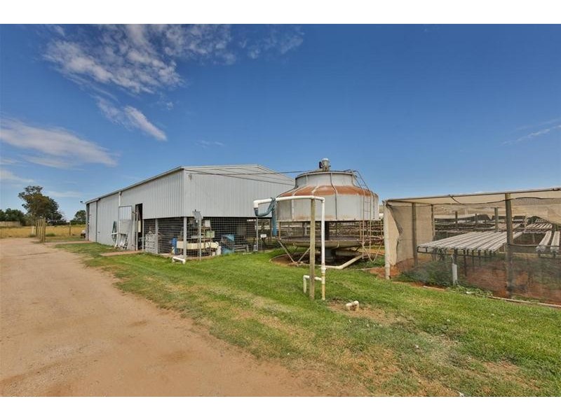 525-529 Irymple Avenue, Irymple VIC 3498