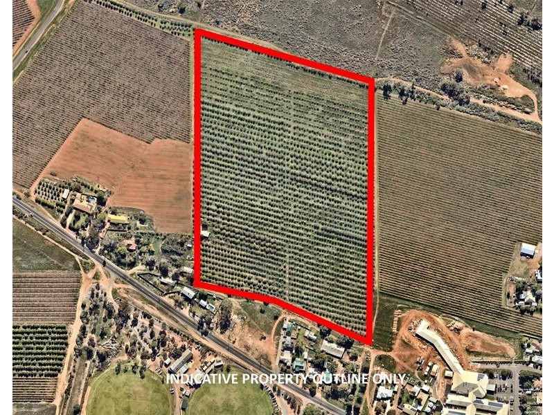 Lot 25 Whiting Street, Merbein VIC 3505