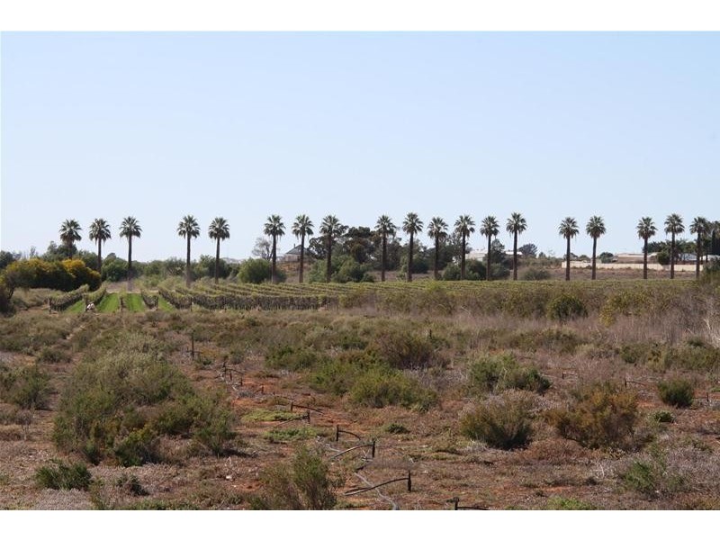 Lot 25 Whiting Street, Merbein VIC 3505