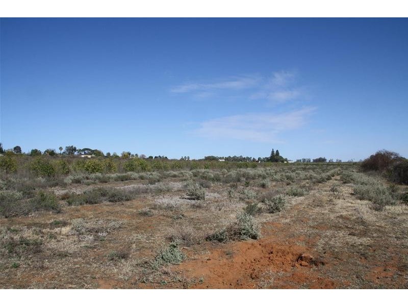 Lot 25 Whiting Street, Merbein VIC 3505