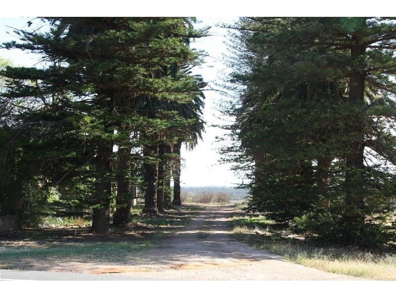 Lot 25 Whiting Street, Merbein VIC 3505