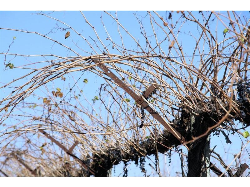 Lot 3/ Yelta Road, Merbein VIC 3505