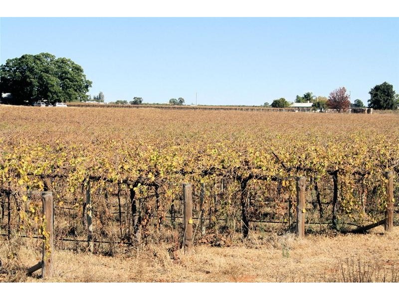 Lot 3/ Yelta Road, Merbein VIC 3505