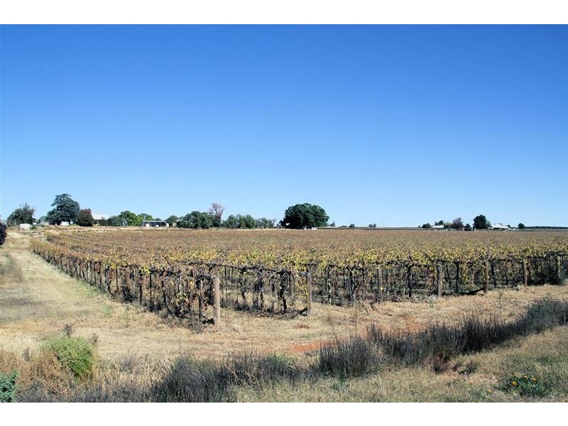 Lot 3/ Yelta Road, Merbein VIC 3505