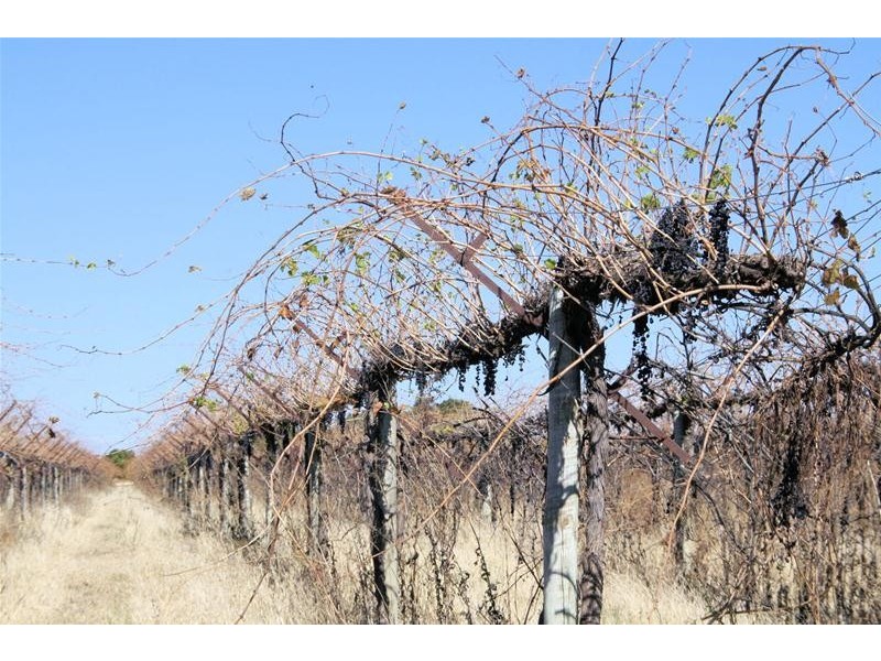 Lot 3/ Yelta Road, Merbein VIC 3505