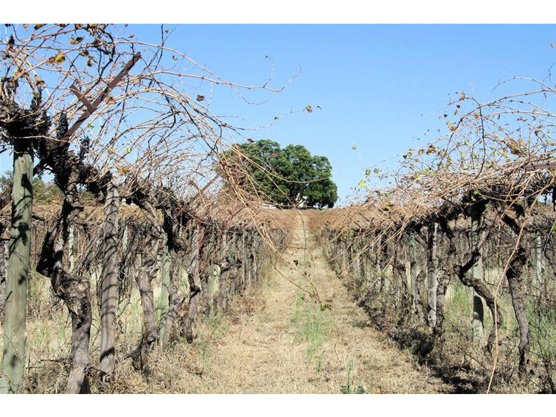 Lot 3/ Yelta Road, Merbein VIC 3505