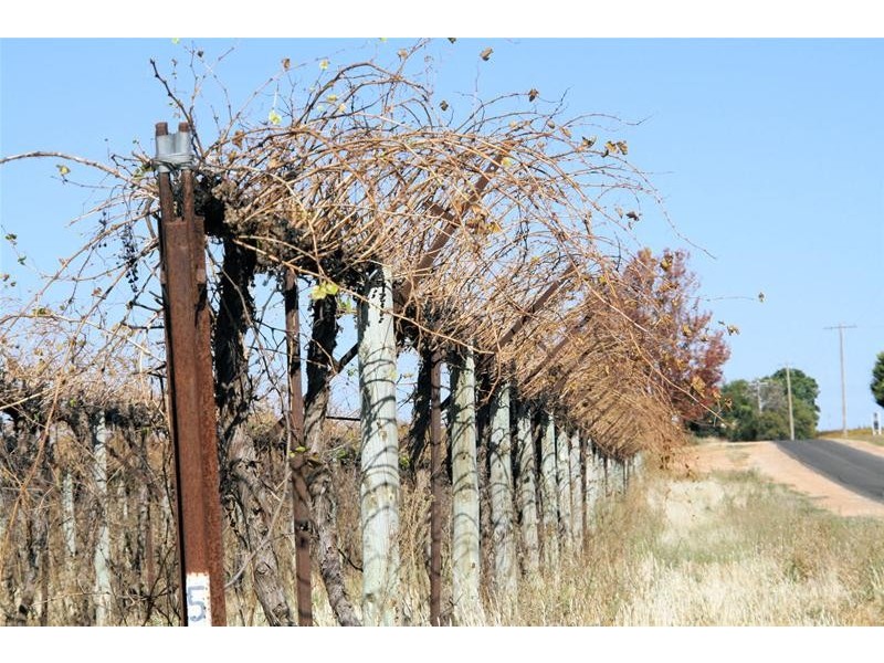 Lot 3/ Yelta Road, Merbein VIC 3505