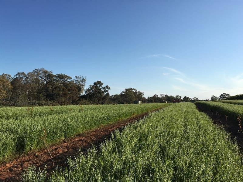 Lot 2 Hewett Road, Colignan VIC 3494