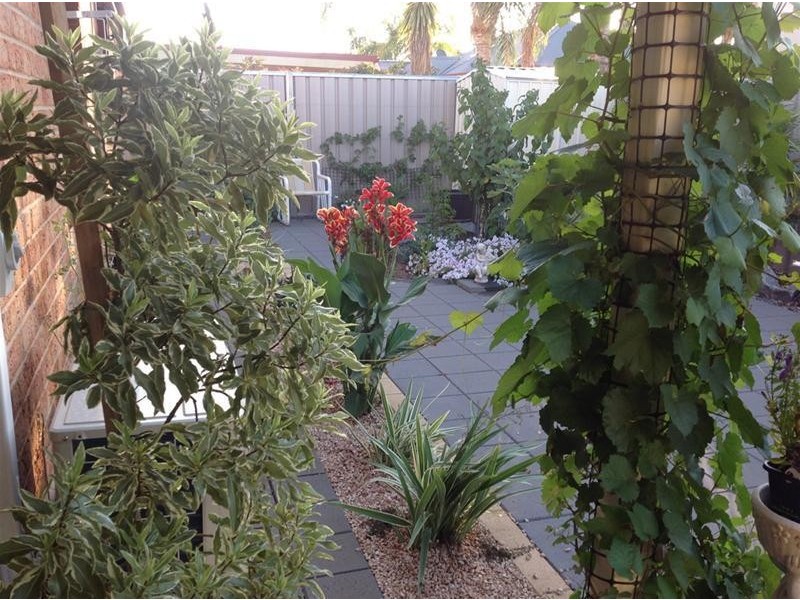 3/8 Taylor Drive, Mildura VIC 3500