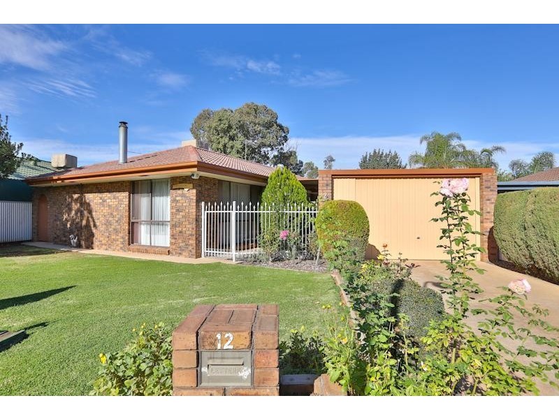 12 Flamingo Drive, Mildura VIC 3500