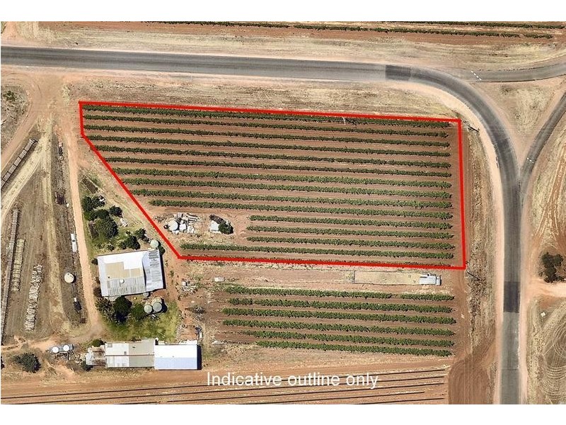 112 Stewart Road, Red Cliffs VIC 3496