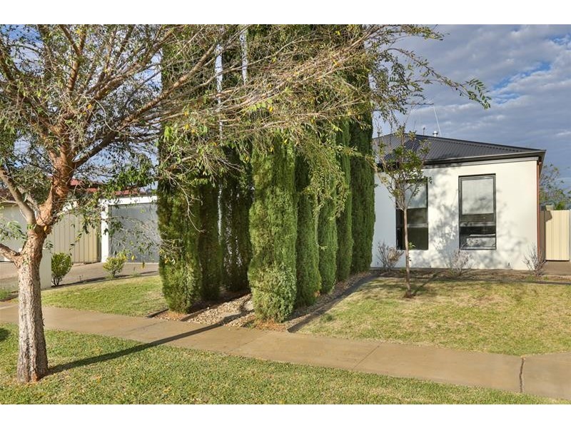 19 Durham Avenue, Mildura VIC 3500