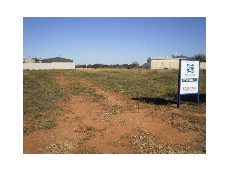 10 Fuschia Court, Buronga NSW 2739