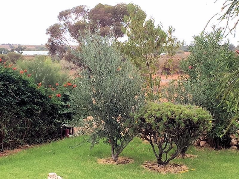 9 Mullroo Drive, Cullulleraine VIC 3496