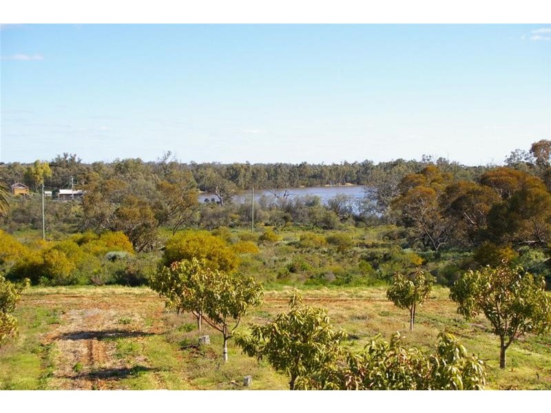 952b Kookaburra Drive, Dareton NSW 2717