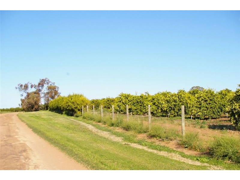 952b Kookaburra Drive, Dareton NSW 2717