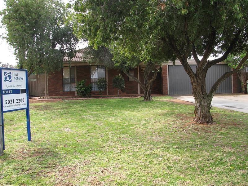 9 Wilkie Drive, Irymple VIC 3498