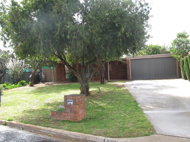 9 Wilkie Drive, Irymple VIC 3498