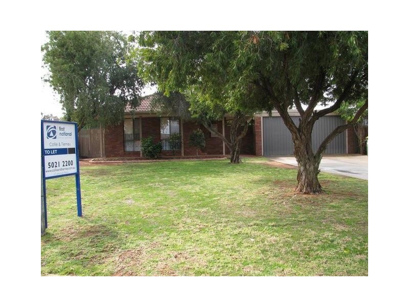 9 Wilkie Drive, Irymple VIC 3498