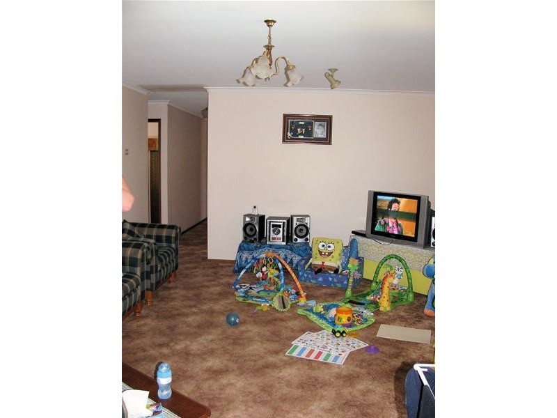 9 Wilkie Drive, Irymple VIC 3498