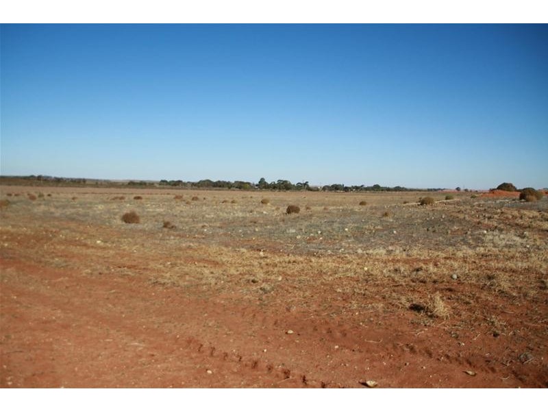 1030 Paschendale Avenue, Merbein South VIC 3505