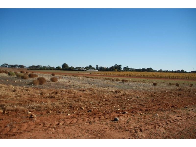 1030 Paschendale Avenue, Merbein South VIC 3505