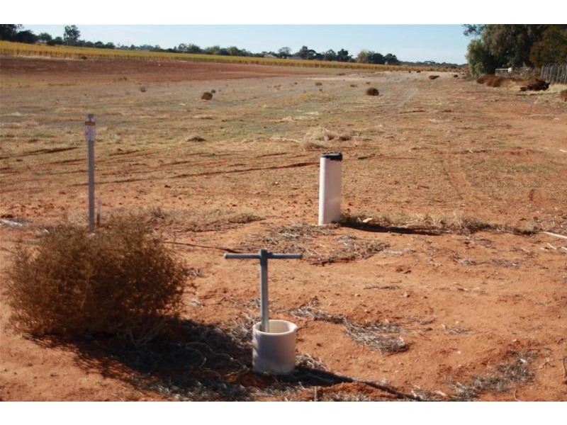 1030 Paschendale Avenue, Merbein South VIC 3505