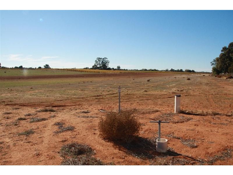 1030 Paschendale Avenue, Merbein South VIC 3505